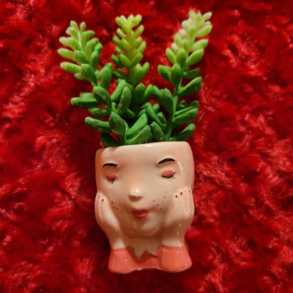 Kohl's Celebrate Together™ Valentine's Day Artificial Succulent Planter 3-pieces - Picture 8 of 16